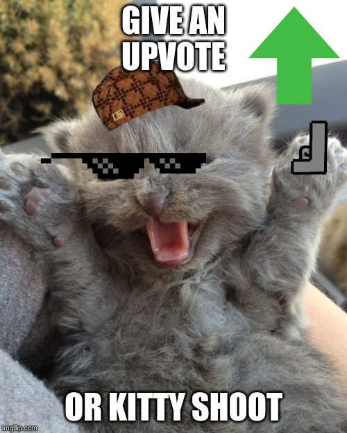 Yay Kitty | GIVE AN
UPVOTE; OR KITTY SHOOT | image tagged in yay kitty | made w/ Imgflip meme maker