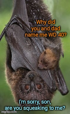 Hey, mom... | Why did you and dad name me WD 40? I'm sorry, son, are you squeaking to me? | image tagged in mother bat and baby,cute animals,puns | made w/ Imgflip meme maker
