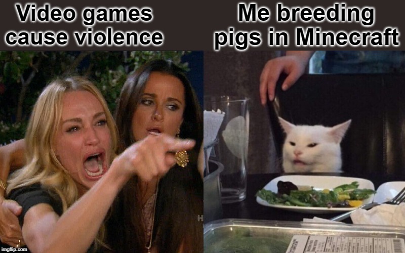 Not for pork, people | Video games cause violence; Me breeding pigs in Minecraft | image tagged in woman yelling at cat | made w/ Imgflip meme maker