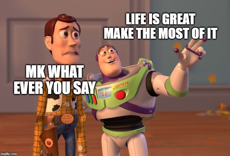 Make the most of life | LIFE IS GREAT MAKE THE MOST OF IT; MK WHAT EVER YOU SAY | image tagged in memes,x x everywhere | made w/ Imgflip meme maker