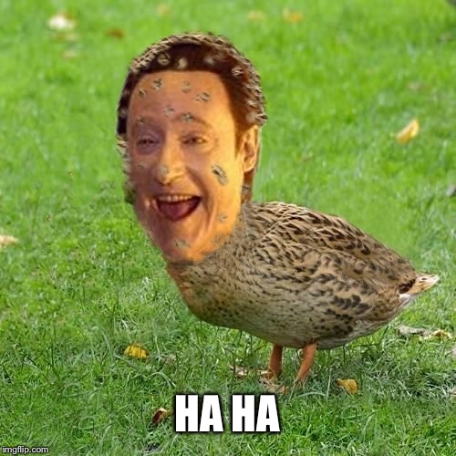 The Data Duck | HA HA | image tagged in the data duck | made w/ Imgflip meme maker