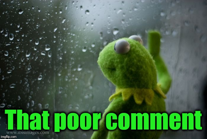 kermit window | That poor comment | image tagged in kermit window | made w/ Imgflip meme maker