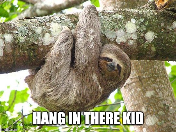 Confession Bear Meme Imgflip Confession Bear Meme Imgflip