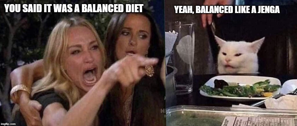 balanced diet | YEAH, BALANCED LIKE A JENGA; YOU SAID IT WAS A BALANCED DIET | image tagged in woman yelling at cat | made w/ Imgflip meme maker