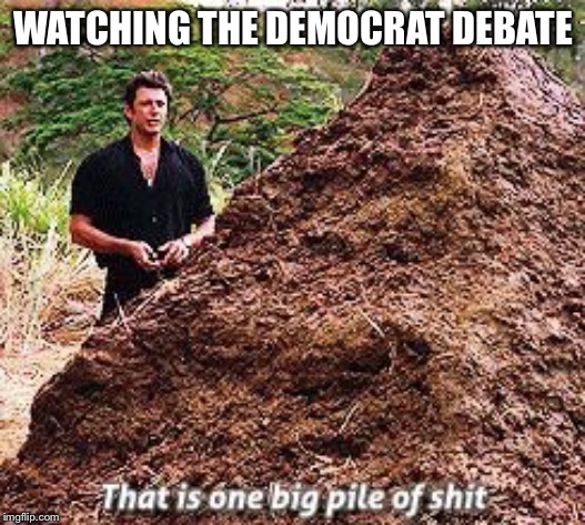 One Big Pile | WATCHING THE DEMOCRAT DEBATE | image tagged in one big pile | made w/ Imgflip meme maker