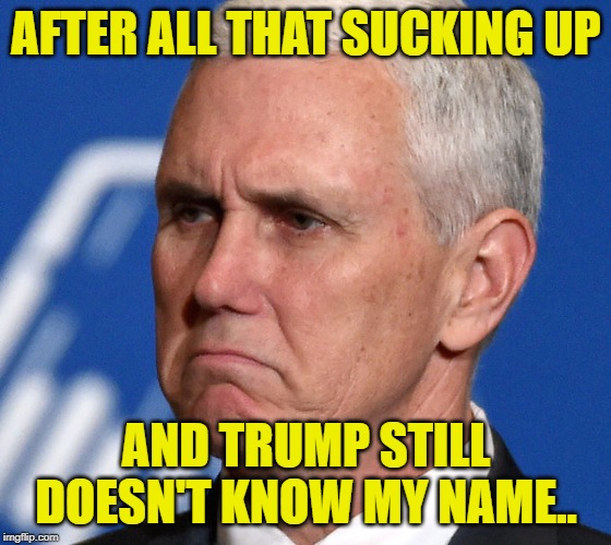 Mother, Trump Hurt My Feelings, Pounce On Him For Me Please! | AFTER ALL THAT SUCKING UP; AND TRUMP STILL DOESN'T KNOW MY NAME.. | image tagged in mike pence,mike pounce | made w/ Imgflip meme maker