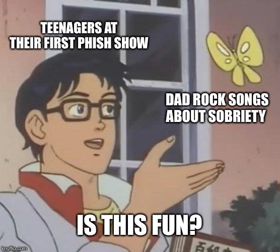 Is This A Pigeon Meme | TEENAGERS AT THEIR FIRST PHISH SHOW; DAD ROCK SONGS ABOUT SOBRIETY; IS THIS FUN? | image tagged in memes,is this a pigeon | made w/ Imgflip meme maker