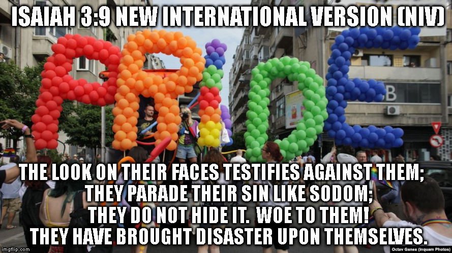 ISAIAH 3:9 NEW INTERNATIONAL VERSION (NIV); THE LOOK ON THEIR FACES TESTIFIES AGAINST THEM;
    THEY PARADE THEIR SIN LIKE SODOM;
    THEY DO NOT HIDE IT.  WOE TO THEM!
    THEY HAVE BROUGHT DISASTER UPON THEMSELVES. | made w/ Imgflip meme maker