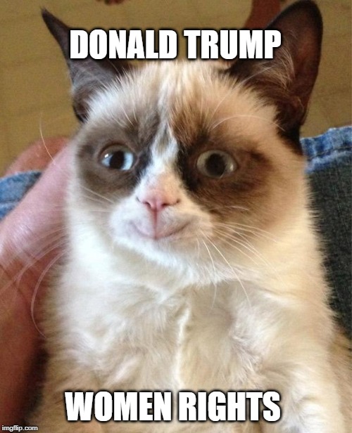 Grumpy Cat Happy Meme | DONALD TRUMP; WOMEN RIGHTS | image tagged in memes,grumpy cat happy,grumpy cat | made w/ Imgflip meme maker