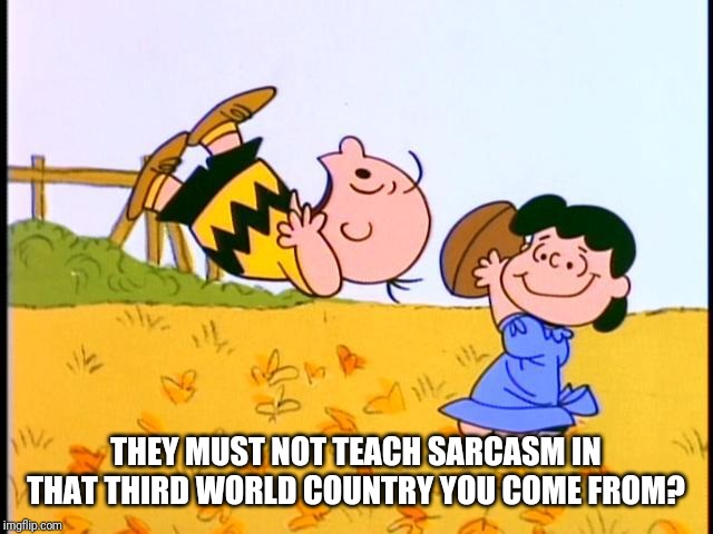 Charlie Brown and Lucy | THEY MUST NOT TEACH SARCASM IN THAT THIRD WORLD COUNTRY YOU COME FROM? | image tagged in charlie brown and lucy | made w/ Imgflip meme maker