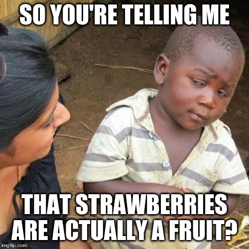 Third World Skeptical Kid Meme | SO YOU'RE TELLING ME; THAT STRAWBERRIES ARE ACTUALLY A FRUIT? | image tagged in memes,third world skeptical kid | made w/ Imgflip meme maker