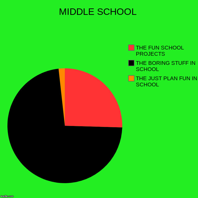 MIDDLE SCHOOL | THE JUST PLAN FUN IN SCHOOL, THE BORING STUFF IN SCHOOL, THE FUN SCHOOL PROJECTS | image tagged in charts,pie charts | made w/ Imgflip chart maker