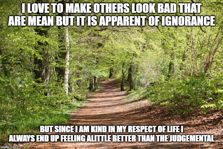 Dirt Road Meme | I LOVE TO MAKE OTHERS LOOK BAD THAT ARE MEAN BUT IT IS APPARENT OF IGNORANCE; BUT SINCE I AM KIND IN MY RESPECT OF LIFE I ALWAYS END UP FEELING ALITTLE BETTER THAN THE JUDGEMENTAL | image tagged in judgemental,memes,life,kindness,respect | made w/ Imgflip meme maker