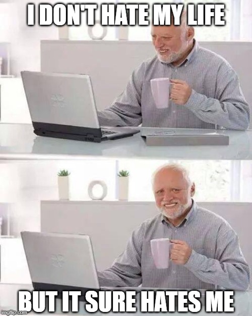 Poor dude | I DON'T HATE MY LIFE; BUT IT SURE HATES ME | image tagged in memes,hide the pain harold | made w/ Imgflip meme maker