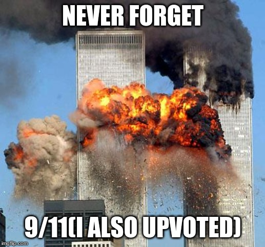 9/11 | NEVER FORGET 9/11(I ALSO UPVOTED) | image tagged in 9/11 | made w/ Imgflip meme maker