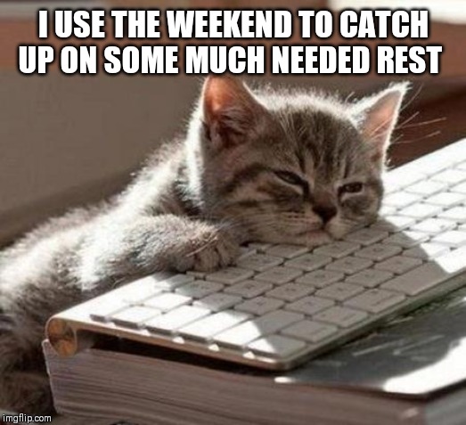 Tired Cat | I USE THE WEEKEND TO CATCH UP ON SOME MUCH NEEDED REST | image tagged in tired cat | made w/ Imgflip meme maker