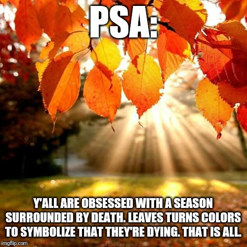 Fall leaves  | PSA:; Y'ALL ARE OBSESSED WITH A SEASON SURROUNDED BY DEATH. LEAVES TURNS COLORS TO SYMBOLIZE THAT THEY'RE DYING. THAT IS ALL. | image tagged in fall leaves | made w/ Imgflip meme maker