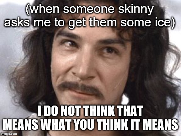 I Do Not Think That Means What You Think It Means | (when someone skinny asks me to get them some ice); I DO NOT THINK THAT MEANS WHAT YOU THINK IT MEANS | image tagged in i do not think that means what you think it means,ice,crystal,meth,stereotypes | made w/ Imgflip meme maker