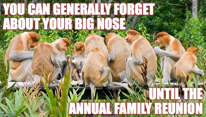 In my family, it's something else that's unusually large  ( : |  YOU CAN GENERALLY FORGET
ABOUT YOUR BIG NOSE; UNTIL THE ANNUAL FAMILY REUNION | image tagged in monkey breakfast,memes,proboscis,schnozzola,family | made w/ Imgflip meme maker