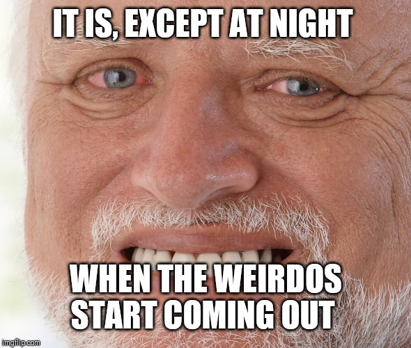 Hide the Pain Harold | IT IS, EXCEPT AT NIGHT WHEN THE WEIRDOS START COMING OUT | image tagged in hide the pain harold | made w/ Imgflip meme maker