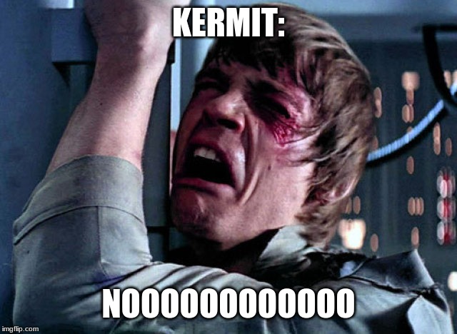 Nooo | KERMIT: NOOOOOOOOOOOO | image tagged in nooo | made w/ Imgflip meme maker
