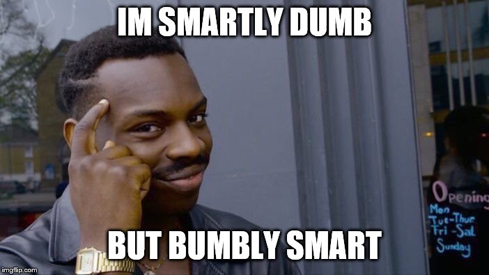 Roll Safe Think About It Meme | IM SMARTLY DUMB; BUT BUMBLY SMART | image tagged in memes,roll safe think about it | made w/ Imgflip meme maker