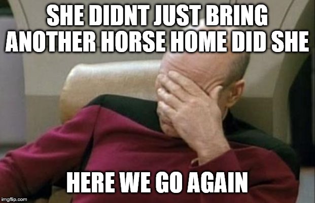 Captain Picard Facepalm | SHE DIDNT JUST BRING ANOTHER HORSE HOME DID SHE; HERE WE GO AGAIN | image tagged in memes,captain picard facepalm | made w/ Imgflip meme maker