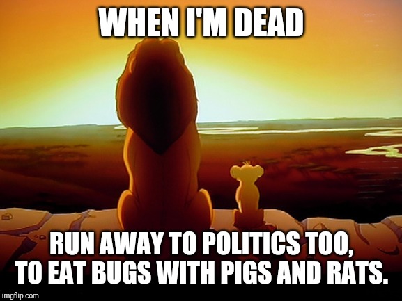 Lion King Meme | WHEN I'M DEAD RUN AWAY TO POLITICS TOO, TO EAT BUGS WITH PIGS AND RATS. | image tagged in memes,lion king | made w/ Imgflip meme maker