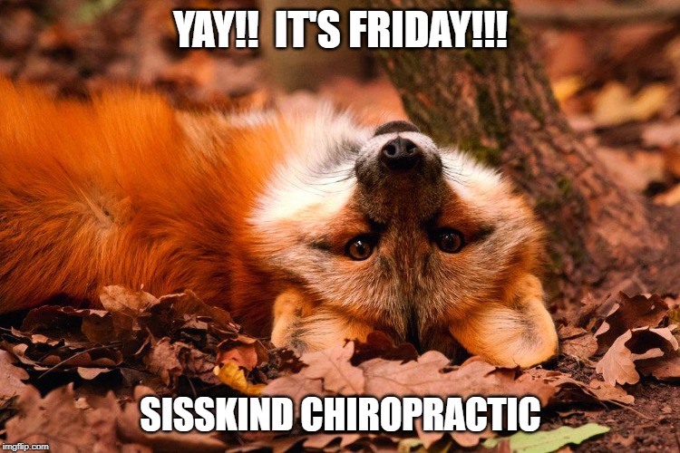 Yay it's friday | YAY!!  IT'S FRIDAY!!! SISSKIND CHIROPRACTIC | image tagged in yay it's friday | made w/ Imgflip meme maker