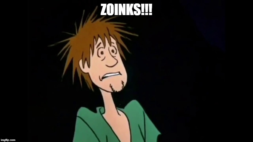 Zoinks | ZOINKS!!! | image tagged in zoinks | made w/ Imgflip meme maker