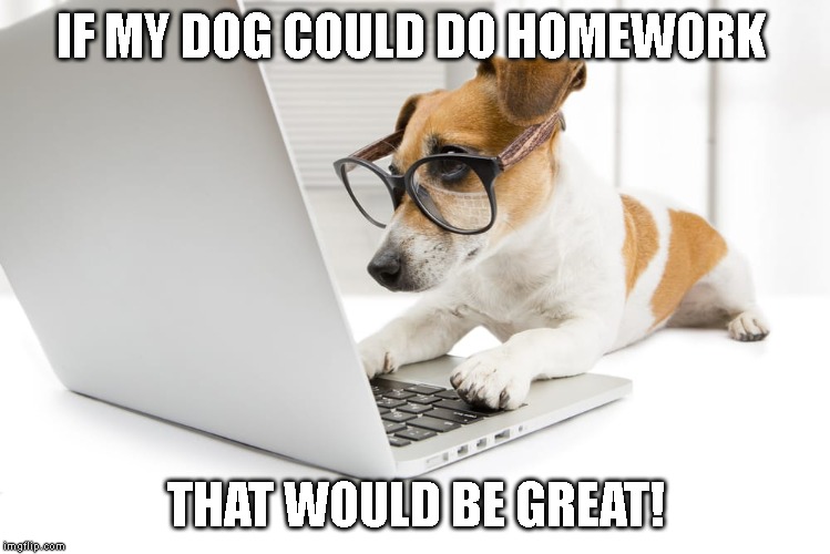 Go Doggy Go! | IF MY DOG COULD DO HOMEWORK; THAT WOULD BE GREAT! | image tagged in dogs,funny dogs | made w/ Imgflip meme maker