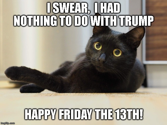 Bad Luck is Not My Fault! | I SWEAR,  I HAD NOTHING TO DO WITH TRUMP; HAPPY FRIDAY THE 13TH! | image tagged in black cat,friday the 13th,impeach trump | made w/ Imgflip meme maker