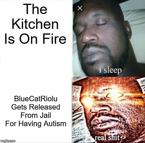 Sleeping Shaq | The Kitchen Is On Fire; BlueCatRiolu Gets Released From Jail For Having Autism | image tagged in memes,sleeping shaq | made w/ Imgflip meme maker