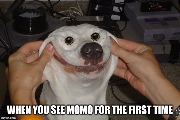 WHEN YOU SEE MOMO FOR THE FIRST TIME | image tagged in athf | made w/ Imgflip meme maker