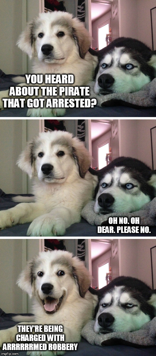 Arrrrrre you serious? Yes. Yes I am. | YOU HEARD ABOUT THE PIRATE THAT GOT ARRESTED? OH NO. OH DEAR. PLEASE NO. THEY'RE BEING CHARGED WITH ARRRRRRMED ROBBERY | image tagged in bad pun dogs,jokes,puns | made w/ Imgflip meme maker