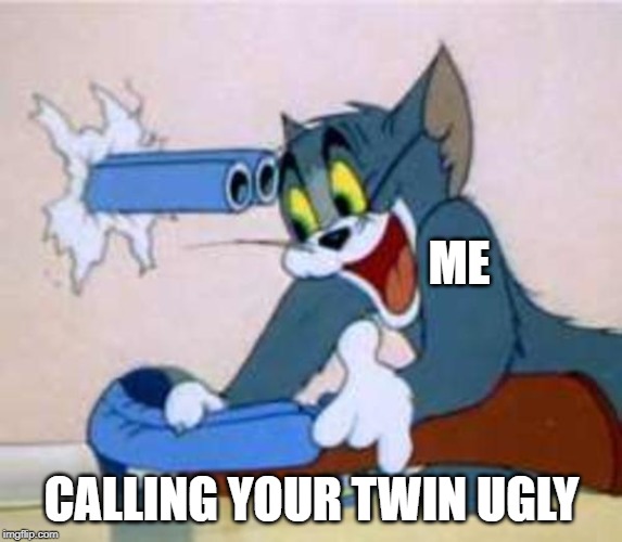 tom the cat shooting himself  | ME; CALLING YOUR TWIN UGLY | image tagged in tom the cat shooting himself | made w/ Imgflip meme maker