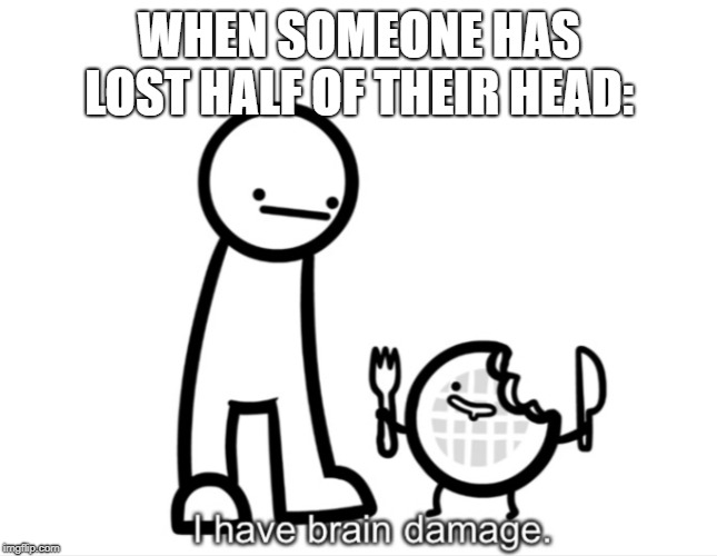 I Have Brain Damage. | WHEN SOMEONE HAS LOST HALF OF THEIR HEAD: | image tagged in i have brain damage | made w/ Imgflip meme maker