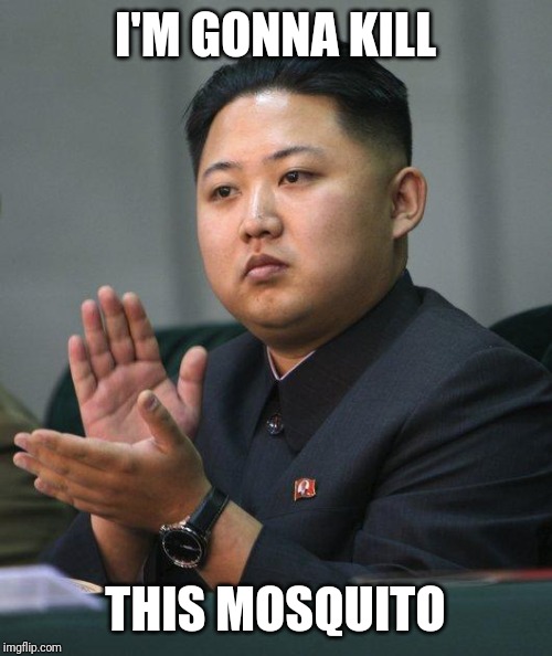 Kim Jong Un | I'M GONNA KILL; THIS MOSQUITO | image tagged in kim jong un | made w/ Imgflip meme maker