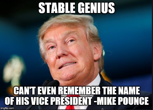 Donald Trump confused | STABLE GENIUS; CAN'T EVEN REMEMBER THE NAME OF HIS VICE PRESIDENT -MIKE POUNCE | image tagged in donald trump confused | made w/ Imgflip meme maker