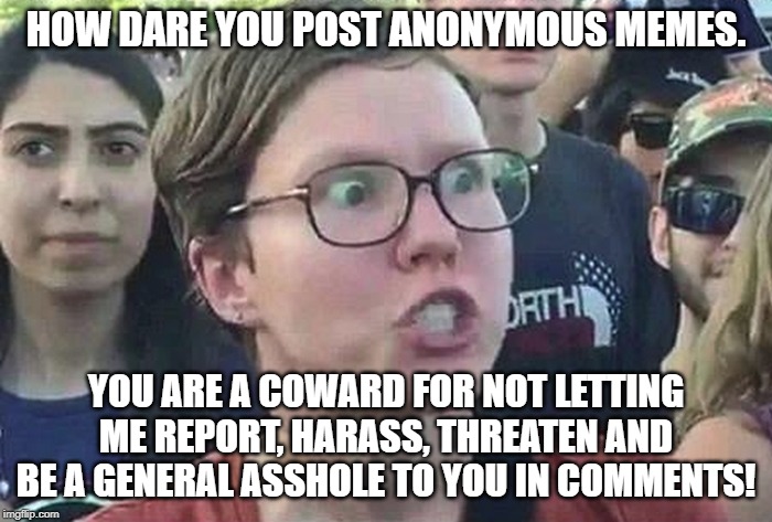 Triggered Liberal | HOW DARE YOU POST ANONYMOUS MEMES. YOU ARE A COWARD FOR NOT LETTING ME REPORT, HARASS, THREATEN AND BE A GENERAL ASSHOLE TO YOU IN COMMENTS! | image tagged in triggered liberal | made w/ Imgflip meme maker