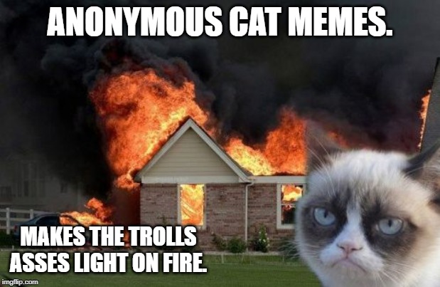 Burn Kitty Meme | ANONYMOUS CAT MEMES. MAKES THE TROLLS ASSES LIGHT ON FIRE. | image tagged in memes,burn kitty,grumpy cat | made w/ Imgflip meme maker