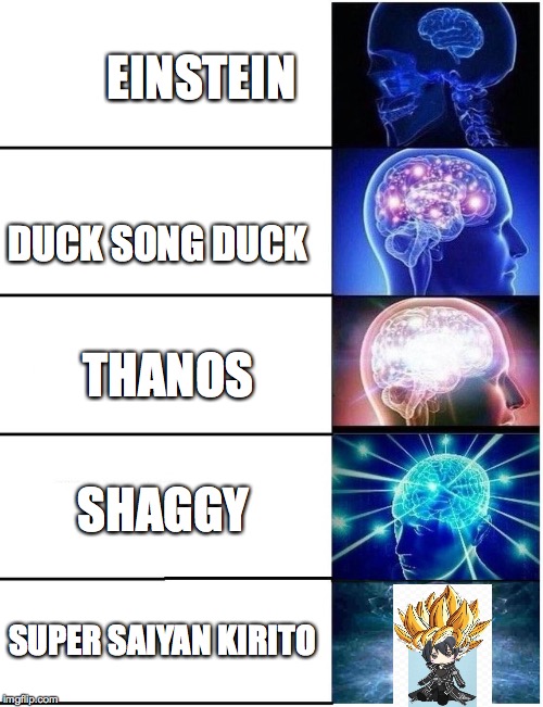 Expanding Brain 5 Panel | EINSTEIN DUCK SONG DUCK THANOS SHAGGY SUPER SAIYAN KIRITO | image tagged in expanding brain 5 panel | made w/ Imgflip meme maker