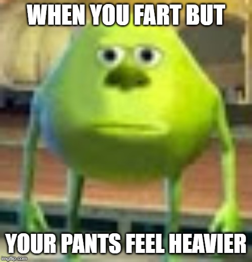 Sully Wazowski | WHEN YOU FART BUT; YOUR PANTS FEEL HEAVIER | image tagged in sully wazowski | made w/ Imgflip meme maker