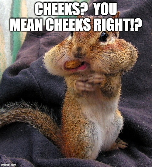 Cheeks stuffed | CHEEKS?  YOU MEAN CHEEKS RIGHT!? | image tagged in cheeks stuffed | made w/ Imgflip meme maker