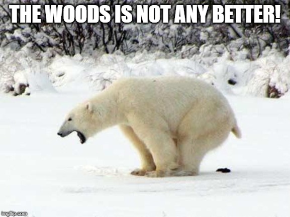 Polar Bear Shits in the Snow | THE WOODS IS NOT ANY BETTER! | image tagged in polar bear shits in the snow | made w/ Imgflip meme maker