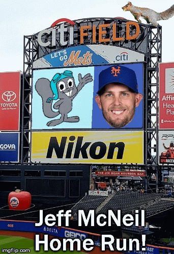 Squirrel Home Run | Jeff McNeil Home Run! | image tagged in gifs,squirrel,home run,mets,jeff mcneil | made w/ Imgflip images-to-gif maker