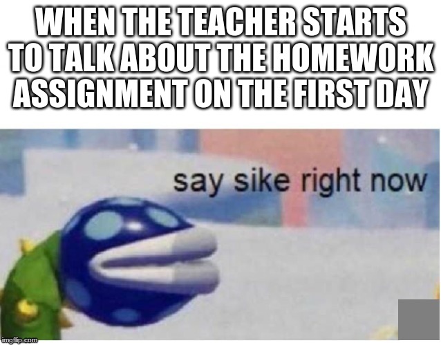 say sike right now | WHEN THE TEACHER STARTS TO TALK ABOUT THE HOMEWORK ASSIGNMENT ON THE FIRST DAY | image tagged in say sike right now | made w/ Imgflip meme maker