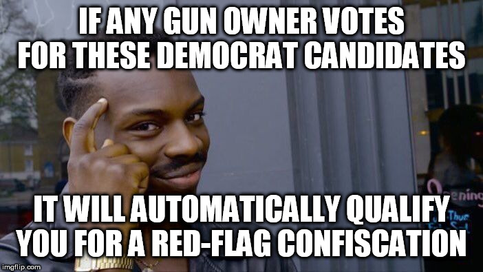 Roll Safe Think About It | IF ANY GUN OWNER VOTES FOR THESE DEMOCRAT CANDIDATES; IT WILL AUTOMATICALLY QUALIFY YOU FOR A RED-FLAG CONFISCATION | image tagged in memes,roll safe think about it | made w/ Imgflip meme maker
