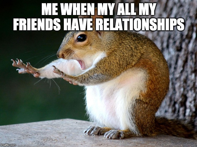 ME WHEN MY ALL MY FRIENDS HAVE RELATIONSHIPS | image tagged in funny animals | made w/ Imgflip meme maker