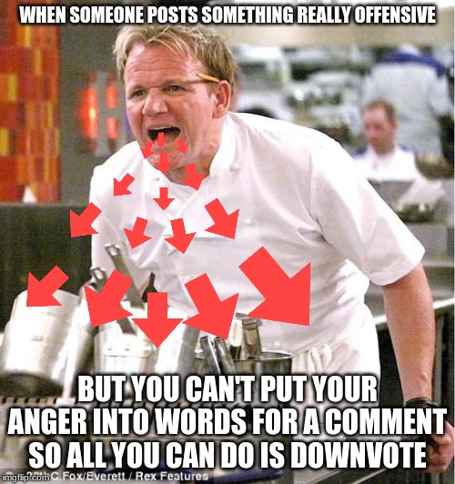 Chef Gordon Ramsay Meme | WHEN SOMEONE POSTS SOMETHING REALLY OFFENSIVE; BUT YOU CAN'T PUT YOUR ANGER INTO WORDS FOR A COMMENT SO ALL YOU CAN DO IS DOWNVOTE | image tagged in memes,chef gordon ramsay | made w/ Imgflip meme maker